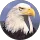rick davis profile picture