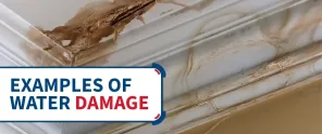 Examples Of Water Damage 1