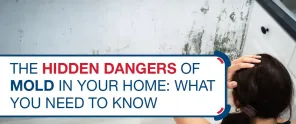 The Hidden Dangers Of Mold In Your Home What You Need To Know