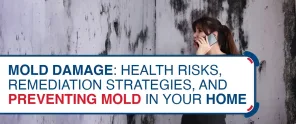 Mold Damage Health Risks Remediation Strategies And Preventing Mold In Your Home