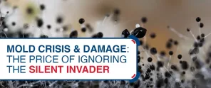 The Price Of Ignoring The Silent Invader