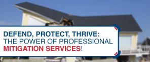 Defend Protect Thrive The Power Of Professional Mitigation Services