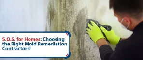 S O S For Homes Choosing The Right Mold Remediation Contractors