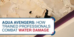 Aqua Avengers How Trained Professionals Combat Water Damage