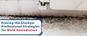 Erasing The Enemy Professional Strategies For Mold Remediation