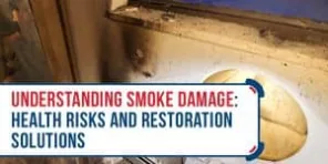 Health Risks And Restoration Solutions
