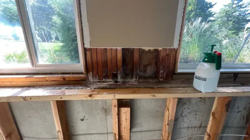 Mold Mitigation Basement Jpg
