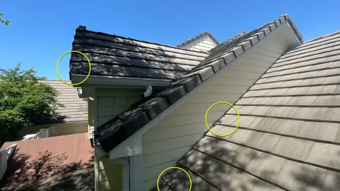 Roof Issues Starting Point Jpg