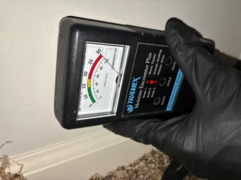 Tramex moisture meter reading taken on apartment drywall to verify the dry standard
