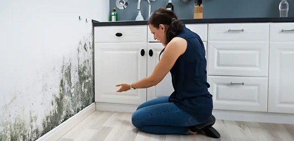 How To Spot Severe Water Damage2