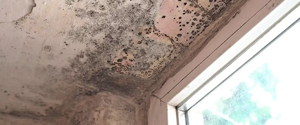 How To Spot Severe Water Damage8