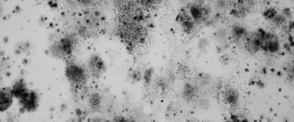 Importance Of Water Extraction Importance Of Water Extraction3