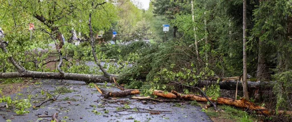 Hidden Storm Damage Checklist to Protect Your Investment