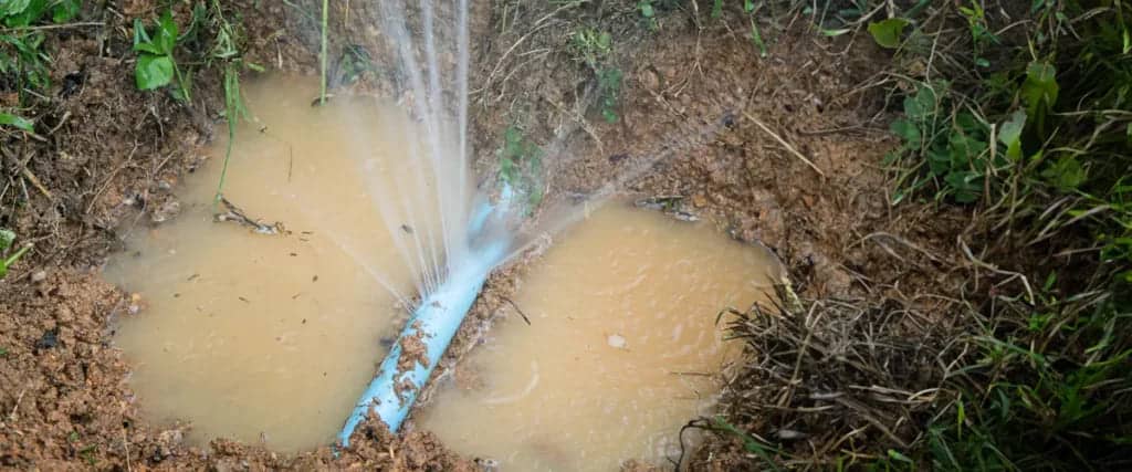 Top Causes Of Sewage Backups In Home2