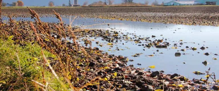 Foundation Issues The Impact Of Soil Saturation