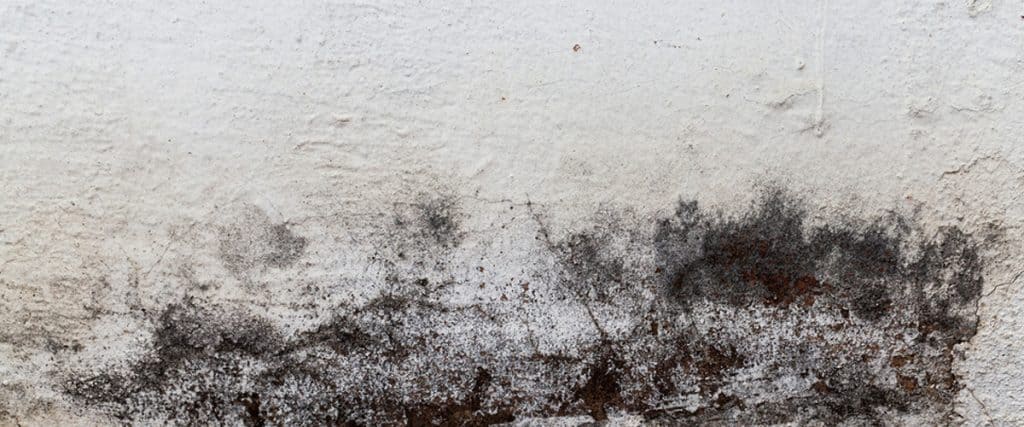 Cracking The Mold Payment Puzzle Whos Paying