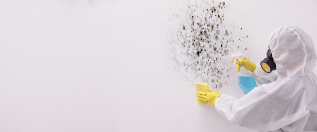 Mold and Mildew Mitigation- Taming the Silent Invaders