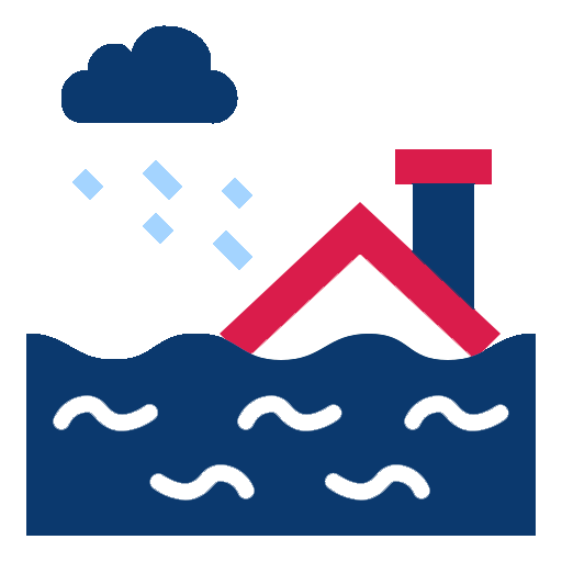 Natural Disaster Icon