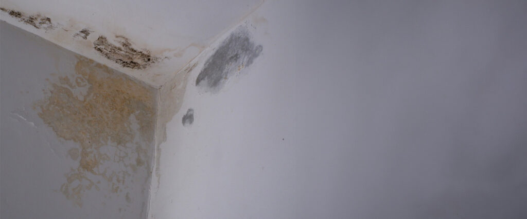 Water Damage Mitigation- Swift Solutions for a Watery Crisis