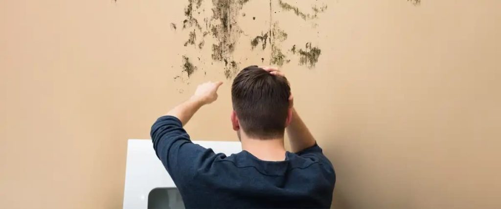 The Price Of Ignoring The Silent Invader2