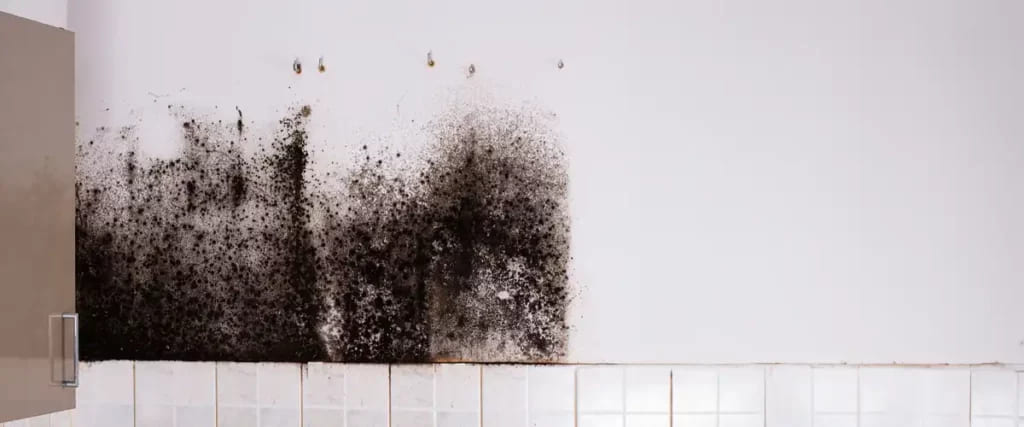 The Price Of Ignoring The Silent Invader4