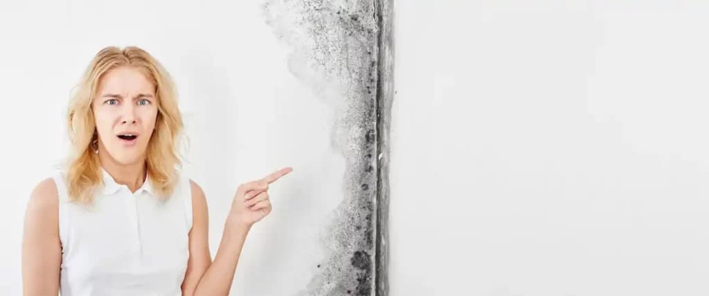 The Price Of Ignoring The Silent Invader9