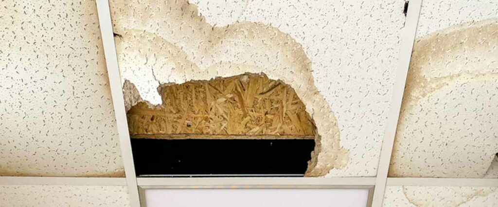 10. Repair Structural Damage