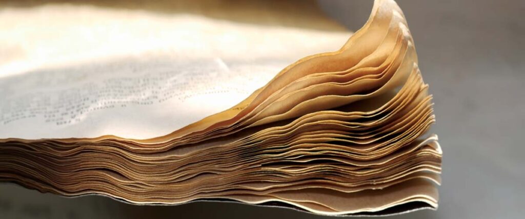 11. Document the Damage