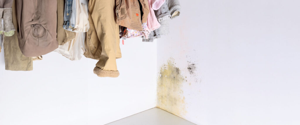 8. Salvage and Dispose of Damaged Items