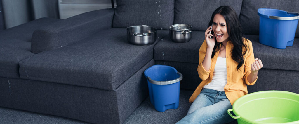 Don't Let Mold Crash Your Party!