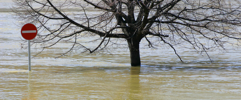Experts Resolving Flood Chaos with Precision.