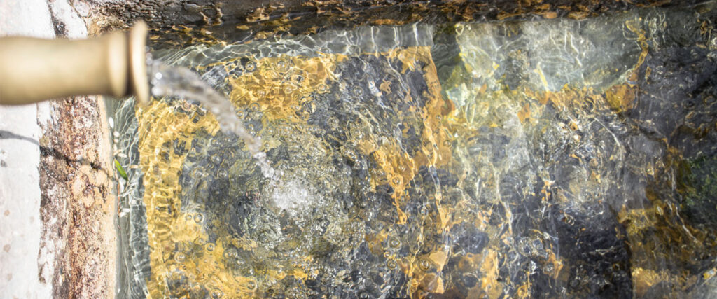 Flooring Foes- Spotting Water Woes!