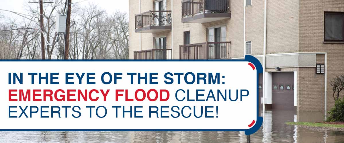In the Eye of the Storm Emergency Flood Cleanup Experts to the Rescue!