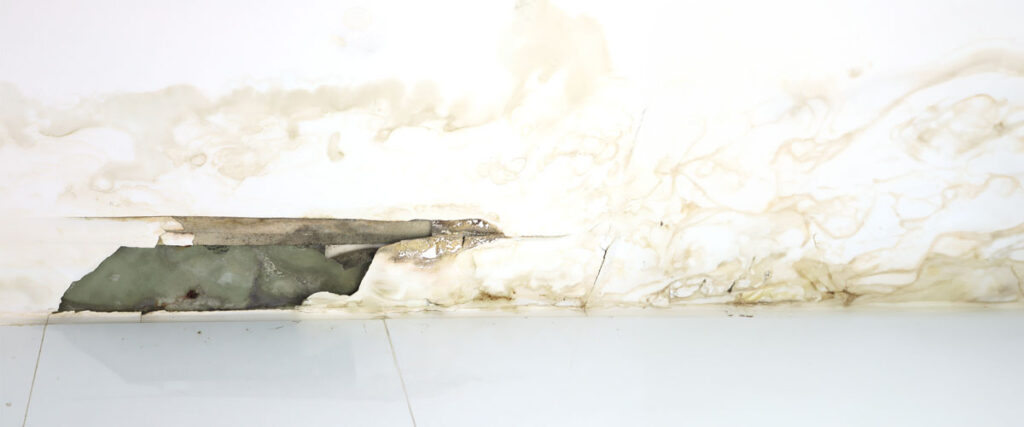 Preventing Mold Growth After Water Damage