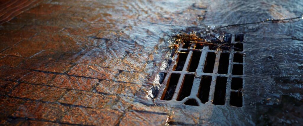 Proper Landscaping and Drainage