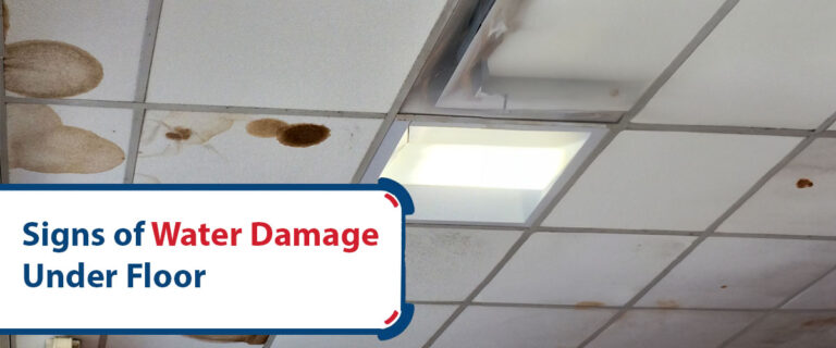 Signs of Water Damage under Floor