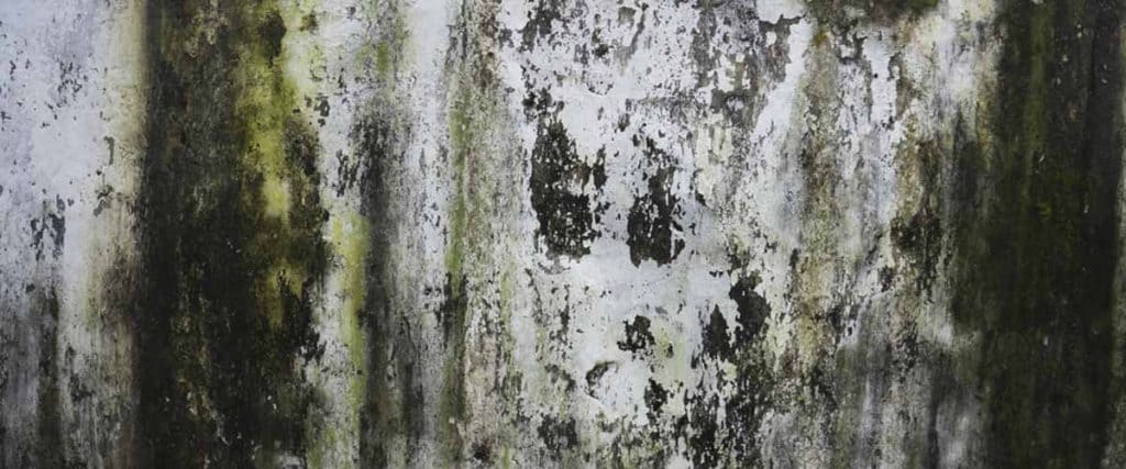 Advanced Techniques In Water Extraction And Drying