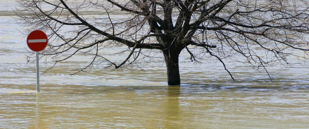 Experts Resolving Flood Chaos With Precision