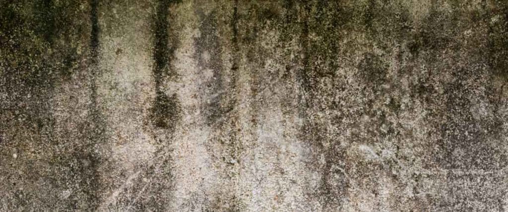 Health And Safety Top Priority In Flood Cleanup