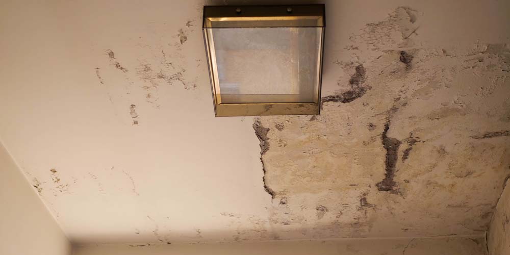 Advanced Techniques in Damage Restoration