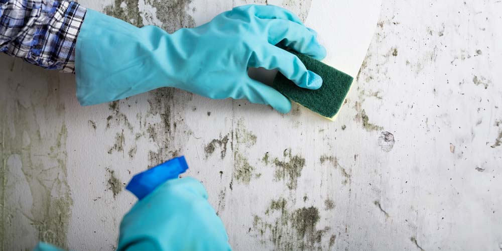 Challenges in Professional Cleaning