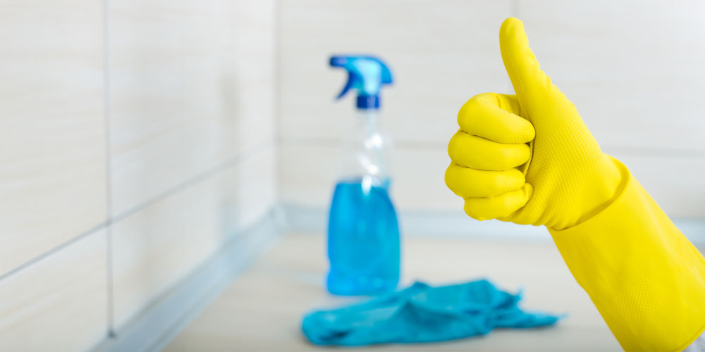 Dirt's worst fear- professional cleaning mastery.
