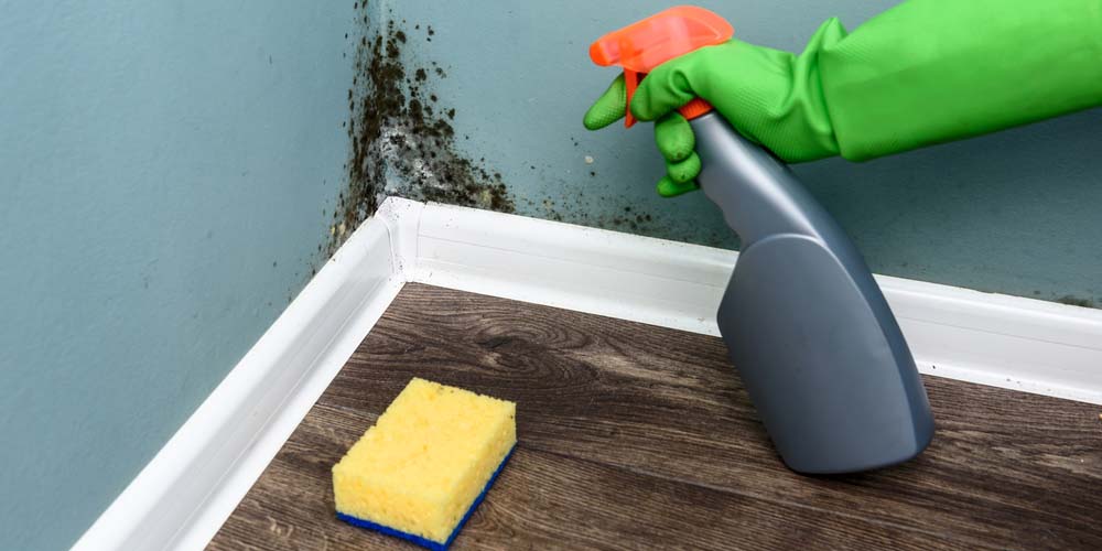 Eco-Friendly Cleaning Practices