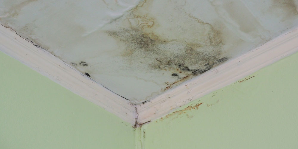 Navigating Insurance and Restoration