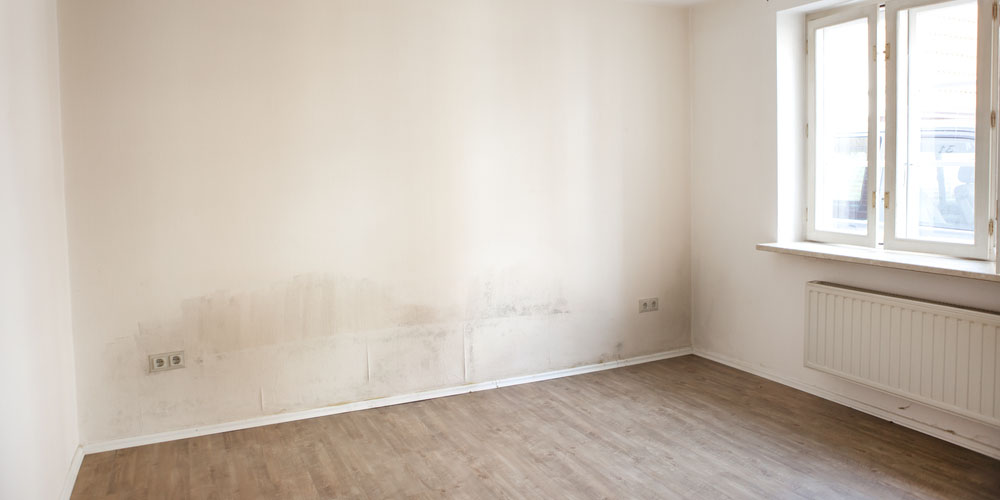 Reclaiming Hygiene- The Final Step in Water Damage Repair