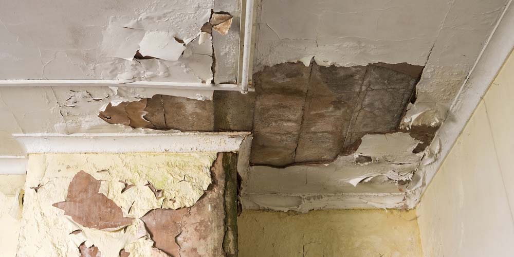 Restoration with a Sustainable Focus