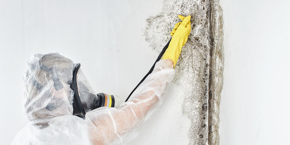 Restore- Ensuring Safety and Integrity