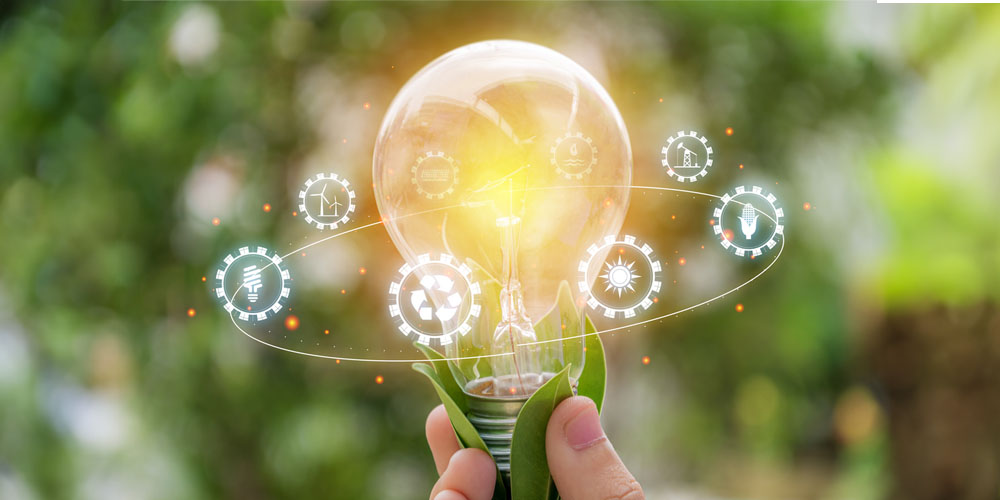 Selecting an Eco-Friendly Restoration Service