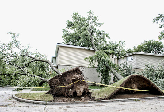 Storm Damage Experts in Lenexa