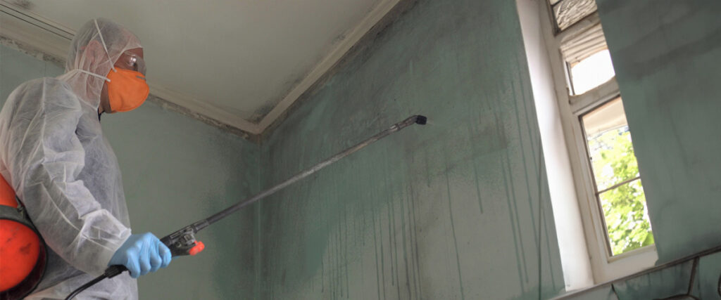 The Basics of Mold Remediation